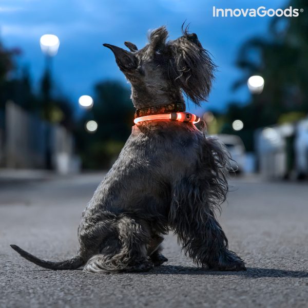 LED obojok pre domácich miláčikov Petlux InnovaGoods