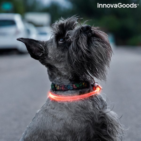LED obojok pre domácich miláčikov Petlux InnovaGoods