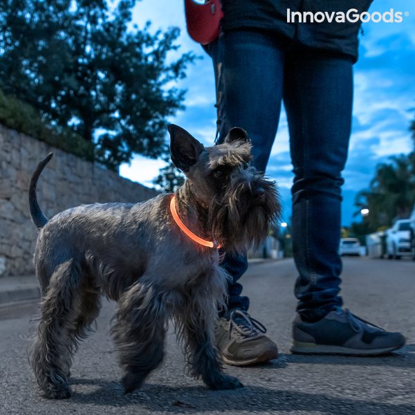 LED obojok pre domácich miláčikov Petlux InnovaGoods