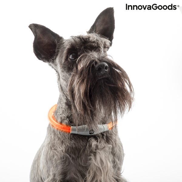 LED obojok pre domácich miláčikov Petlux InnovaGoods