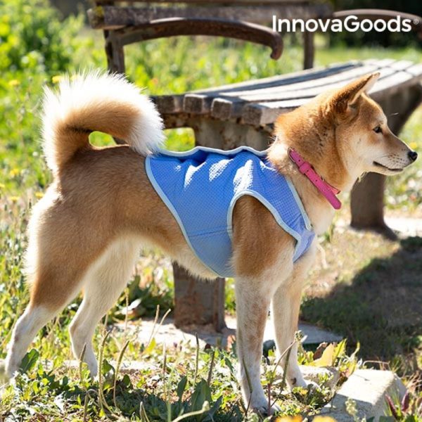 Chladiaca Vesta pre Malých Psov InnovaGoods - S
